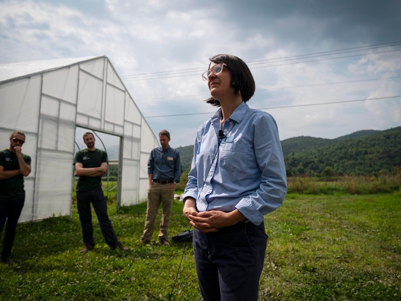 A person stands in the foreground near a greenhouse, with three people in the background on a grassy field under a cloudy sky.